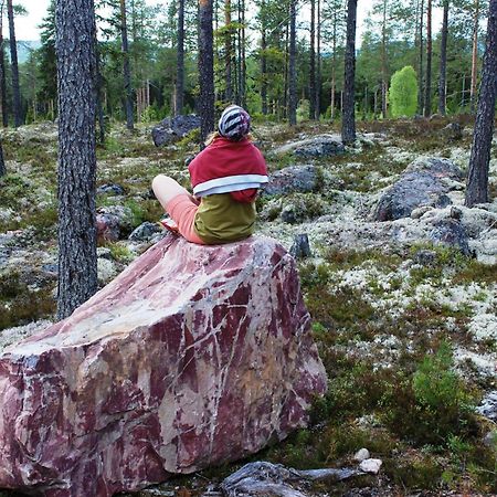 14 - Fulufjellets Nasjonalparker - Natur-, Dyre- Og Fugleopplevelser 特吕西尔 外观 照片