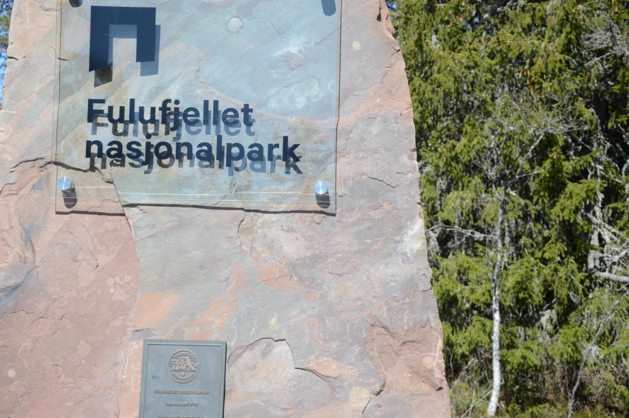 14 - Fulufjellets Nasjonalparker - Natur-, Dyre- Og Fugleopplevelser 特吕西尔 外观 照片