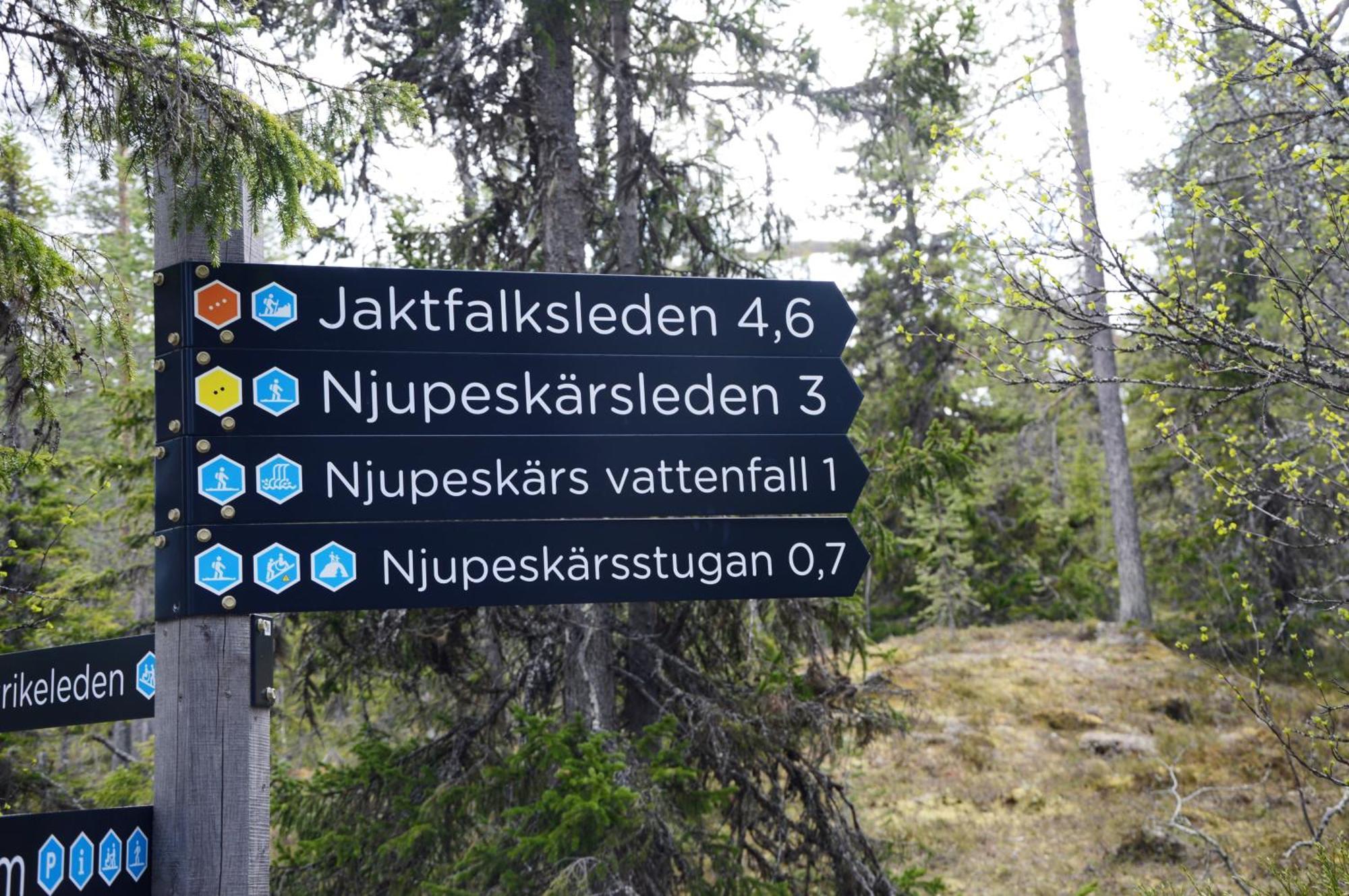 14 - Fulufjellets Nasjonalparker - Natur-, Dyre- Og Fugleopplevelser 特吕西尔 外观 照片