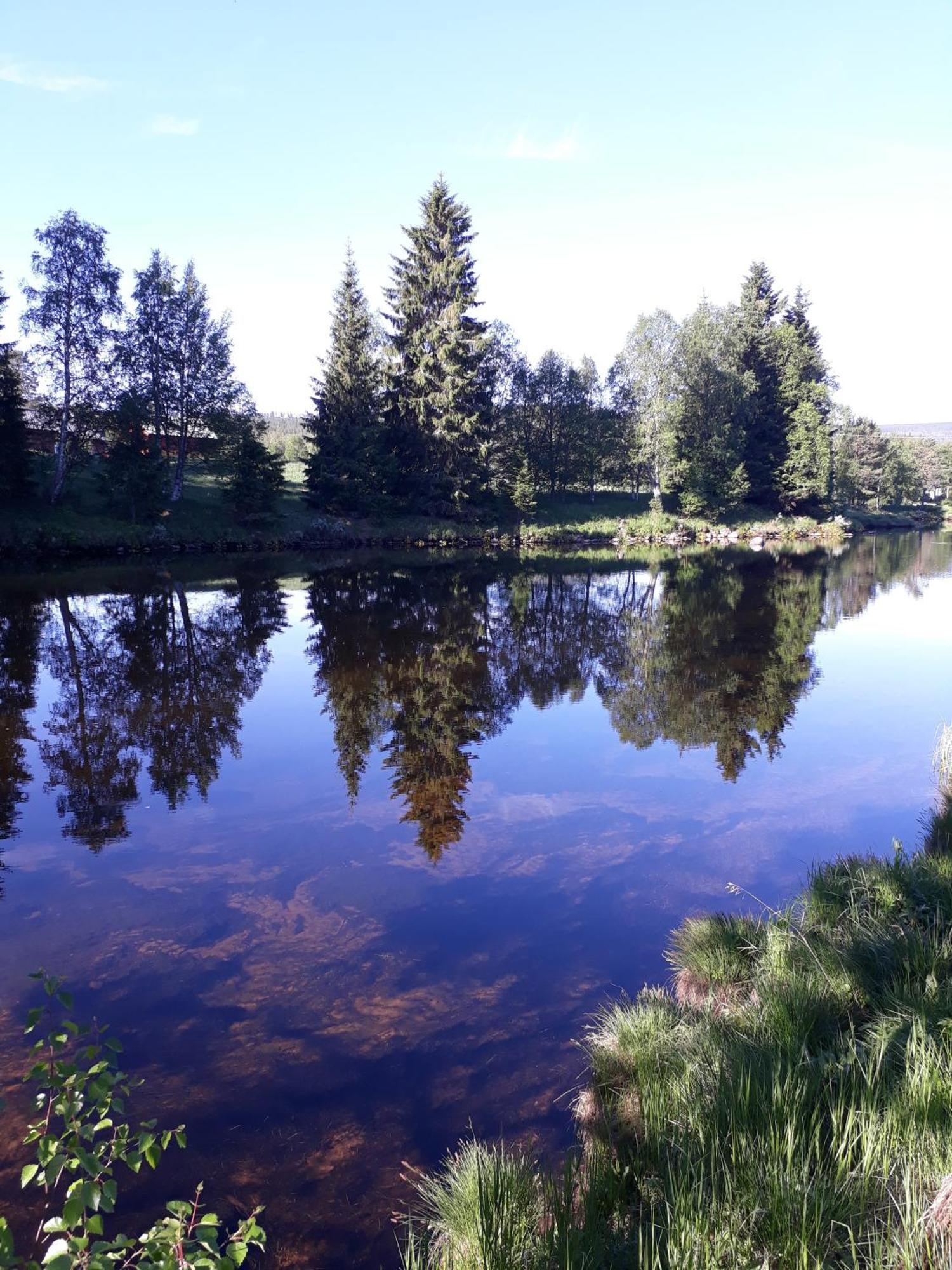 14 - Fulufjellets Nasjonalparker - Natur-, Dyre- Og Fugleopplevelser 特吕西尔 外观 照片