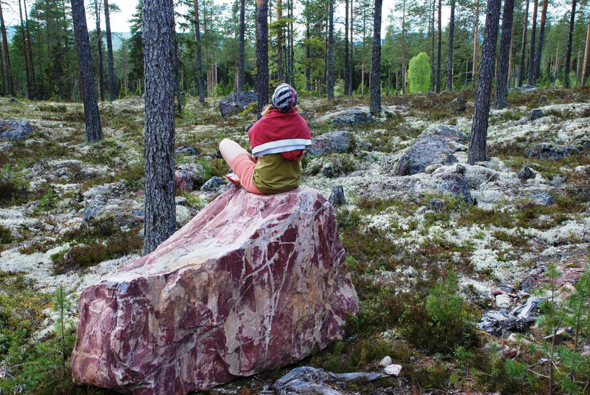 14 - Fulufjellets Nasjonalparker - Natur-, Dyre- Og Fugleopplevelser 特吕西尔 外观 照片