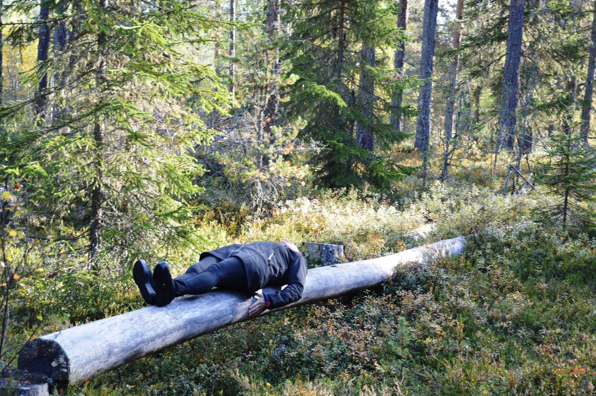 14 - Fulufjellets Nasjonalparker - Natur-, Dyre- Og Fugleopplevelser 特吕西尔 外观 照片
