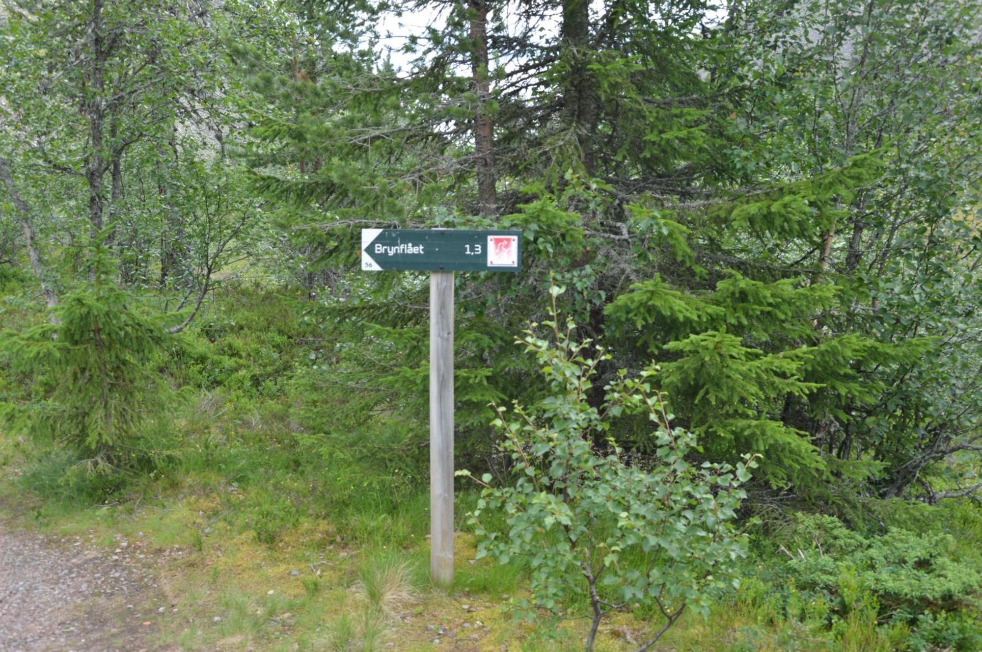 14 - Fulufjellets Nasjonalparker - Natur-, Dyre- Og Fugleopplevelser 特吕西尔 外观 照片