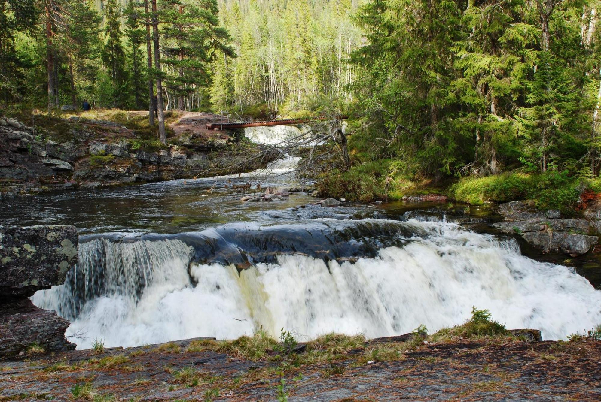 14 - Fulufjellets Nasjonalparker - Natur-, Dyre- Og Fugleopplevelser 特吕西尔 外观 照片