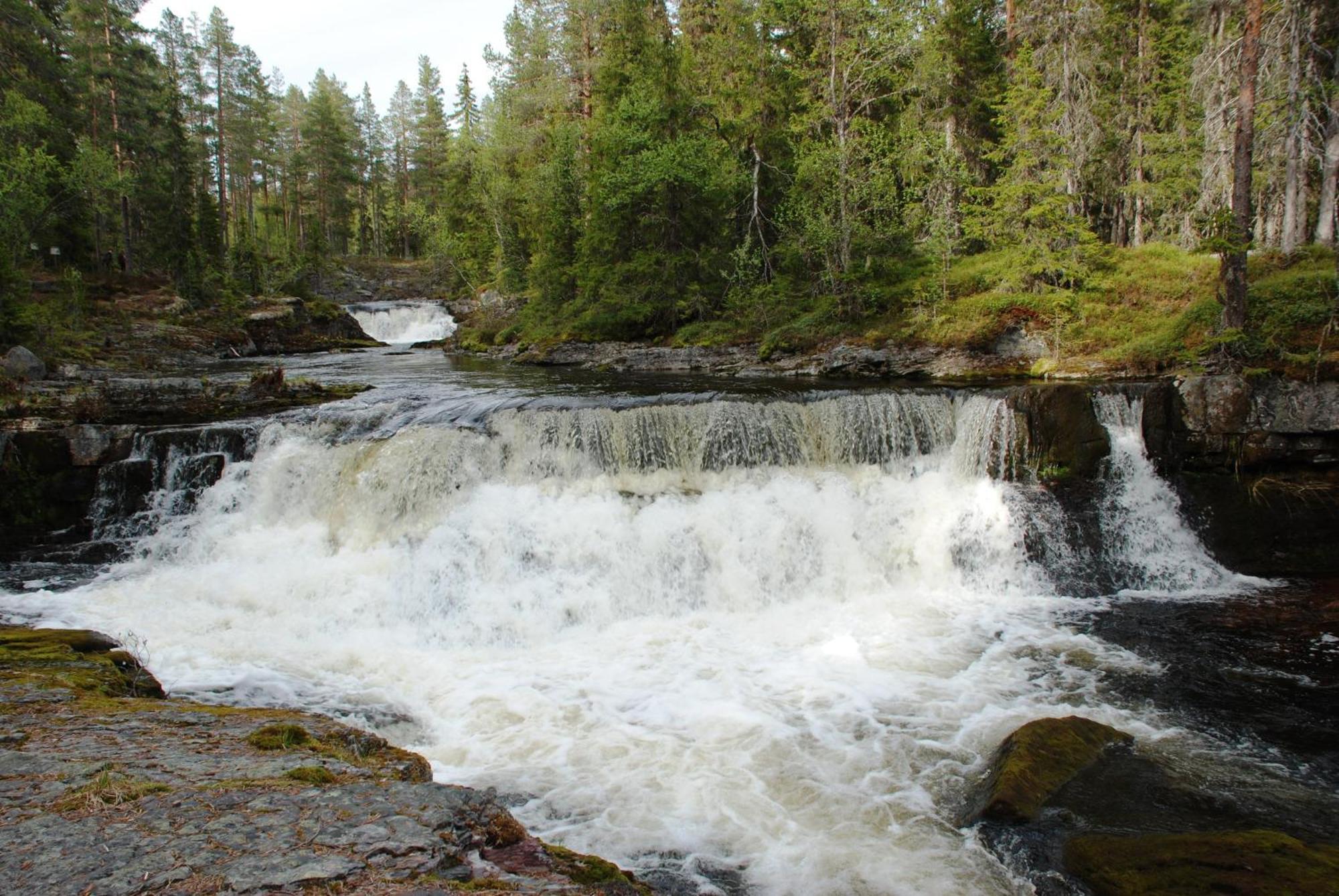 14 - Fulufjellets Nasjonalparker - Natur-, Dyre- Og Fugleopplevelser 特吕西尔 外观 照片